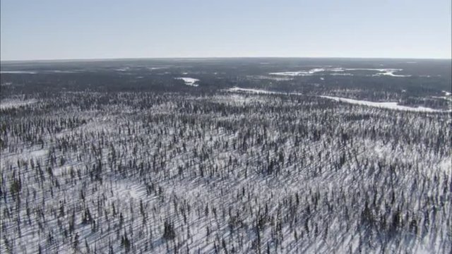 Frozen Tundra Helicopter