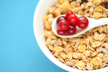 Cranberries in bowl with muesli