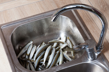 Fresh fish in a sink