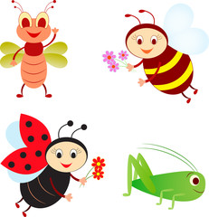 Isolated Insects Illustrations, Bee, Ladybug, Fly and Grashopper