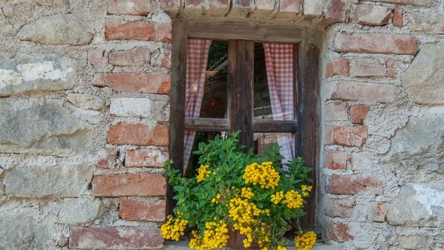 Old house