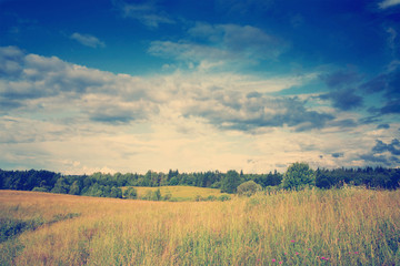 Obraz na płótnie Canvas Green meadow under dramatic sky landscape
