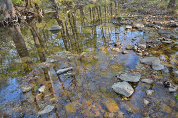 Reflection on river 6