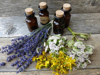 Lavendel