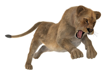 Naklejka premium Hunting Lioness