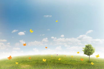Panorama of green field with a tree on blue sky background