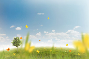 Panorama of green field with a tree on blue sky background