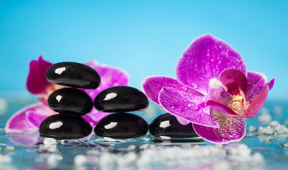 Spa still life with pink orchid and black zen stones