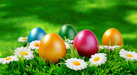 bunte Ostereier in der Wiese