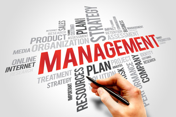 MANAGEMENT word cloud, business concept