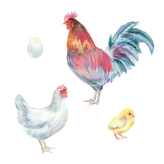 watercolor chickens - 76646702