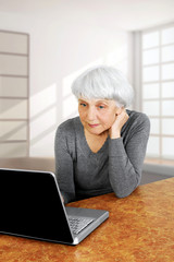 elegant elderly senior woman using laptop computer communicates