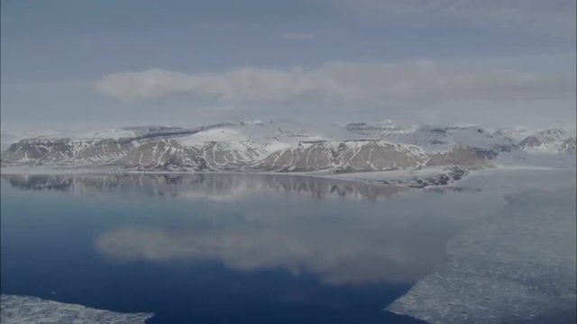 Polar Frozen Tundra