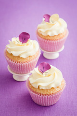 Decorated cupcakes
