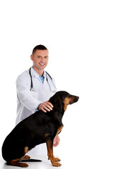 Confident male veterinarian examining dog