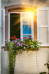House window decorated with colorful geranium