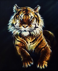 Tiger Fractal beautiful color ornaments background