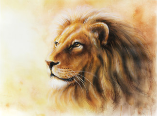 lion color painting