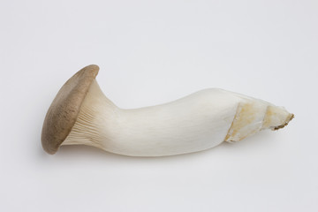 Fototapeta premium エリンギ