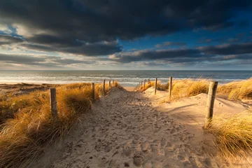 Poster de jardin Mer du Nord, Pays-Bas sand path to North sea beach