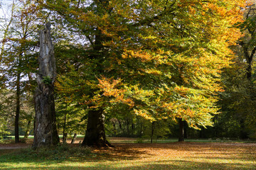 Herbstimpressionen