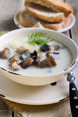 Creamy mushroom soup