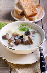 Creamy mushroom soup in bowl