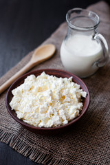 Delicious homemade cottage cheese with milk on the table