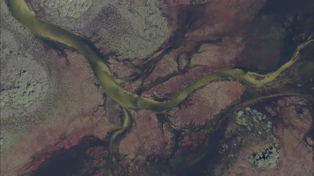 River Delta