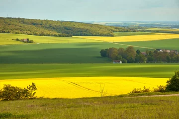 Crédence de cuisine en verre imprimé Campagne Panoramic view of rapeseed field