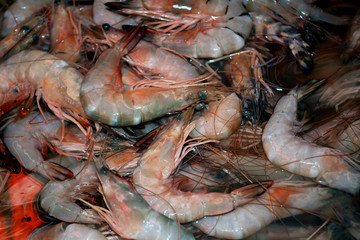 Seafood restaurant, Kuching, Borneo, Malaysia