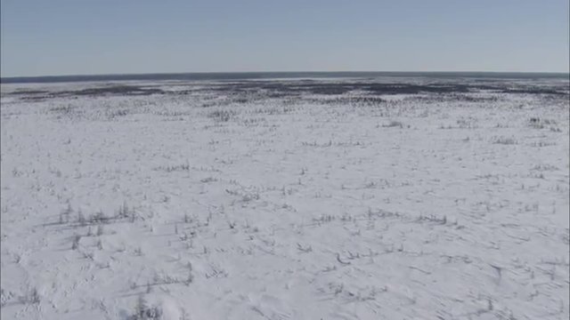 Frozen Tundra