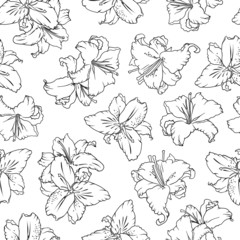 White lilies. Seamless pattern