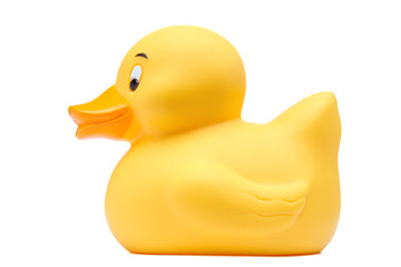 Rubber duck