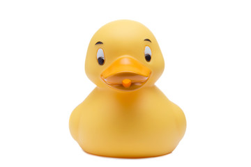Rubber duck