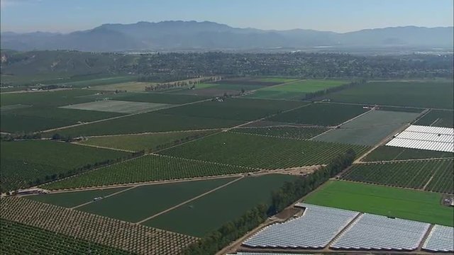 Santa Rosa California Farmland Agriculture