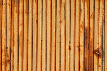 patten of old Zinc background