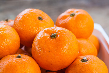 the orange fruit