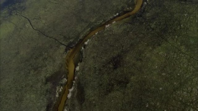 River Delta