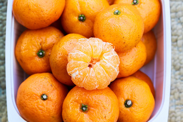 the orange fruit