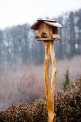 Bird feeder