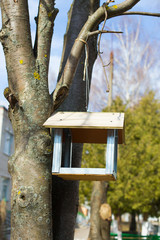 Bird box under snow during the winter