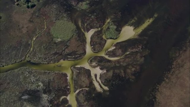 River Delta