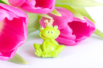 Tulpen mit Frosch