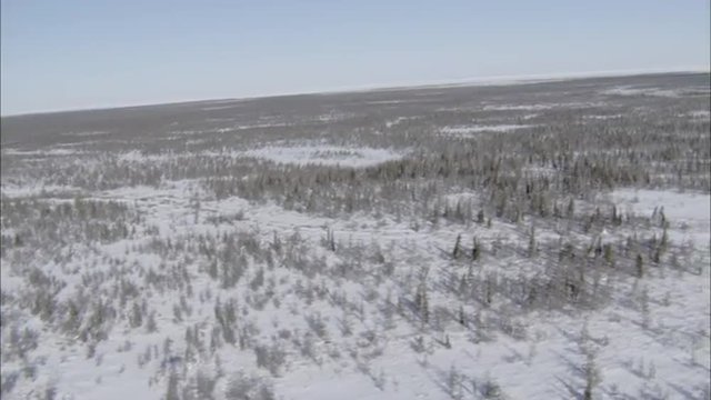 Frozen Tundra Helicopter