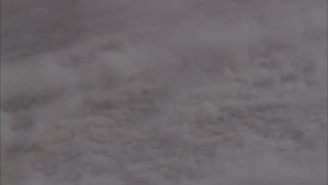 Savanna Sand Storm