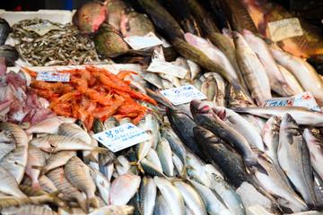 Close up of fish on display in a fish market