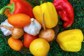 Delicious vegetables
