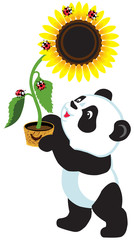 Naklejka premium cartoon panda holding sunflower