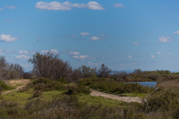 Camargue Landschaft